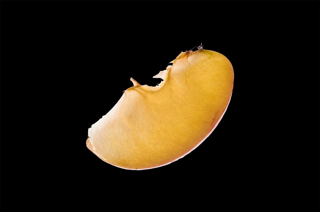 Apfel_Scheibe